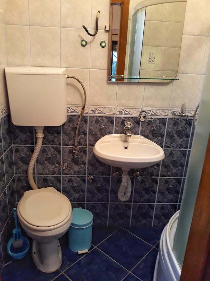 Vila Simic Sokobanja Extérieur photo
